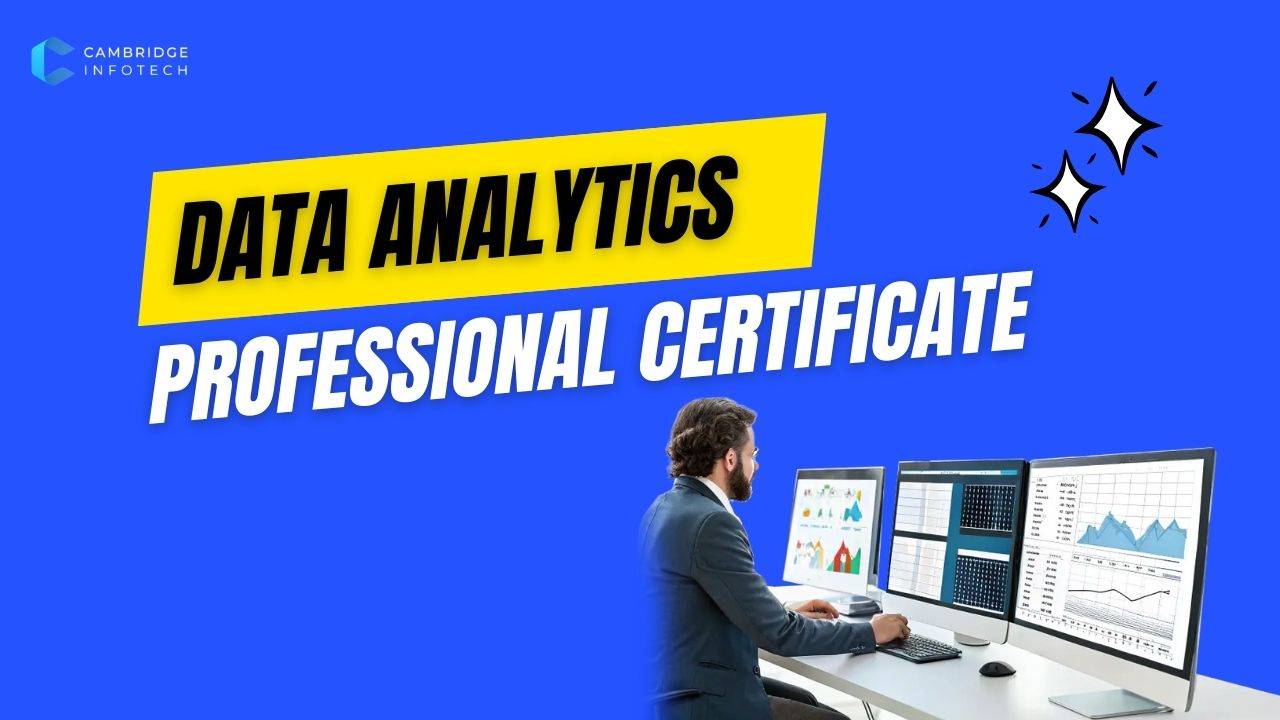 Data-Analytics-Professional-Certificate