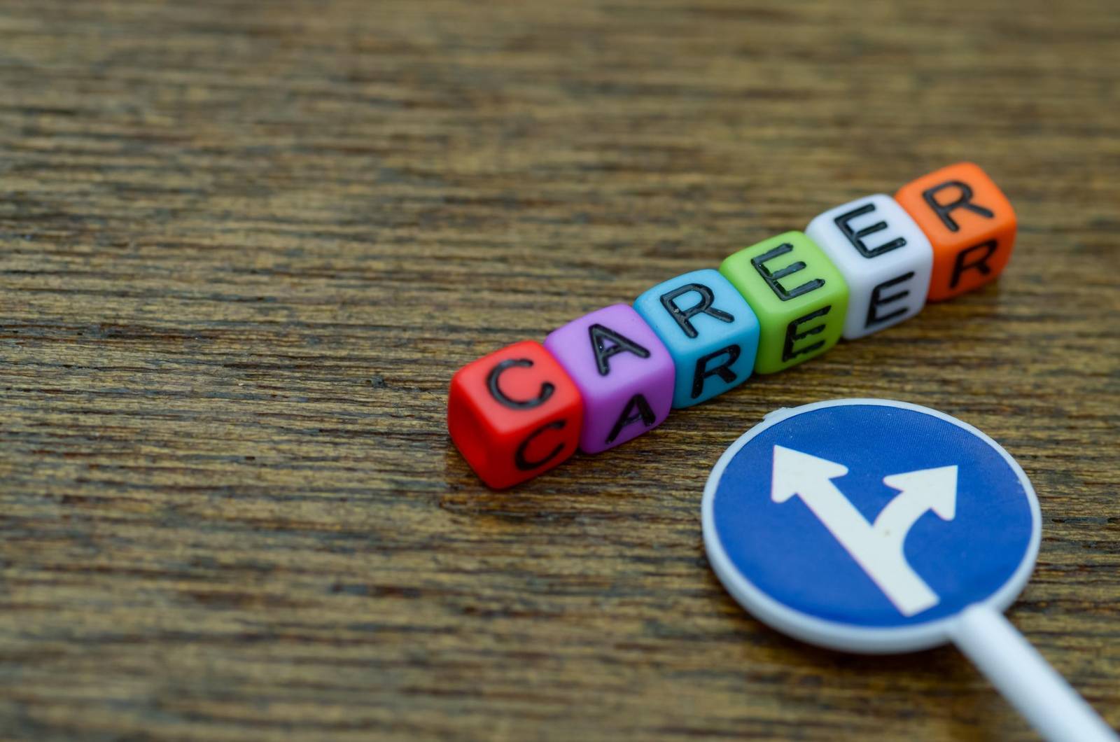 Students choosing the right job oriented IT careers India